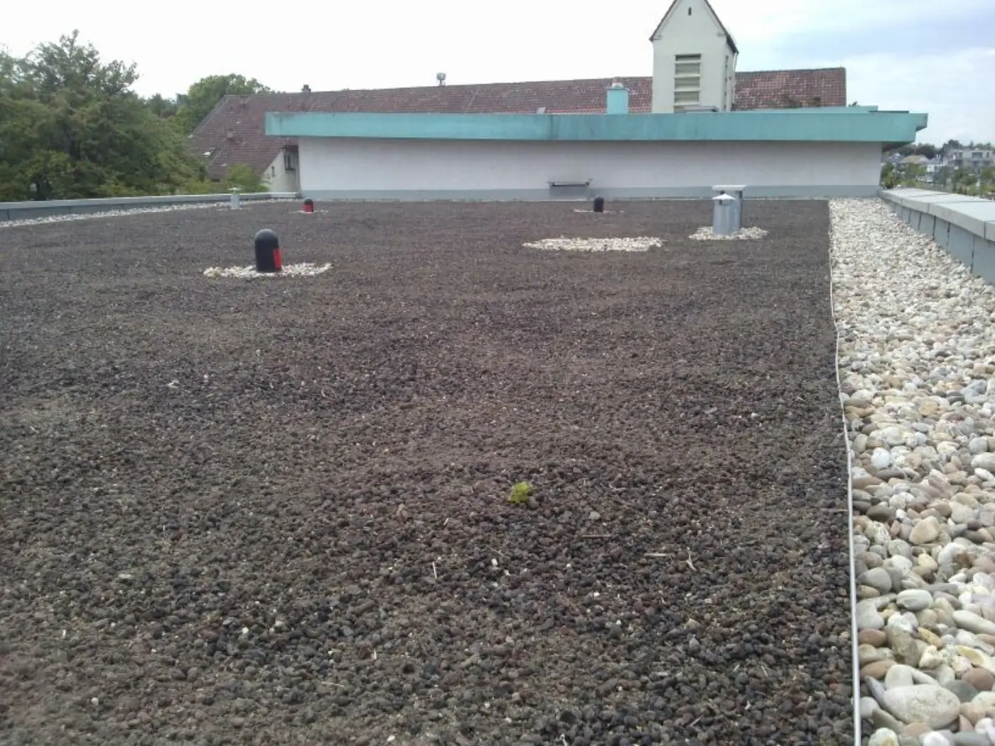Begrüntes Flachdach, Foto 2 von 6