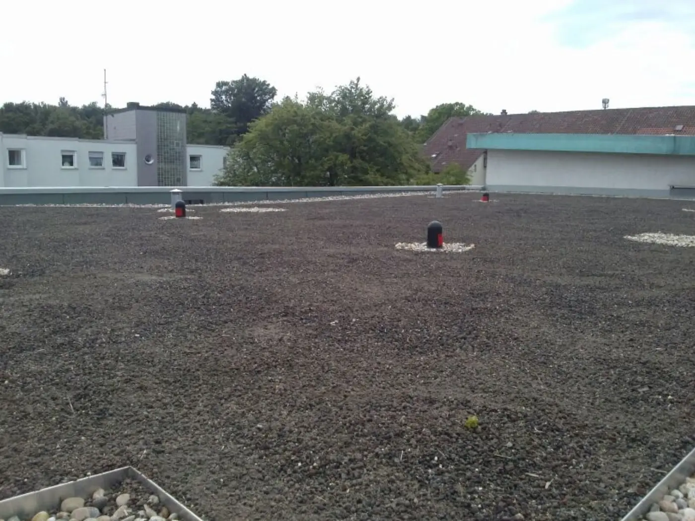 Begrüntes Flachdach, Foto 3 von 6