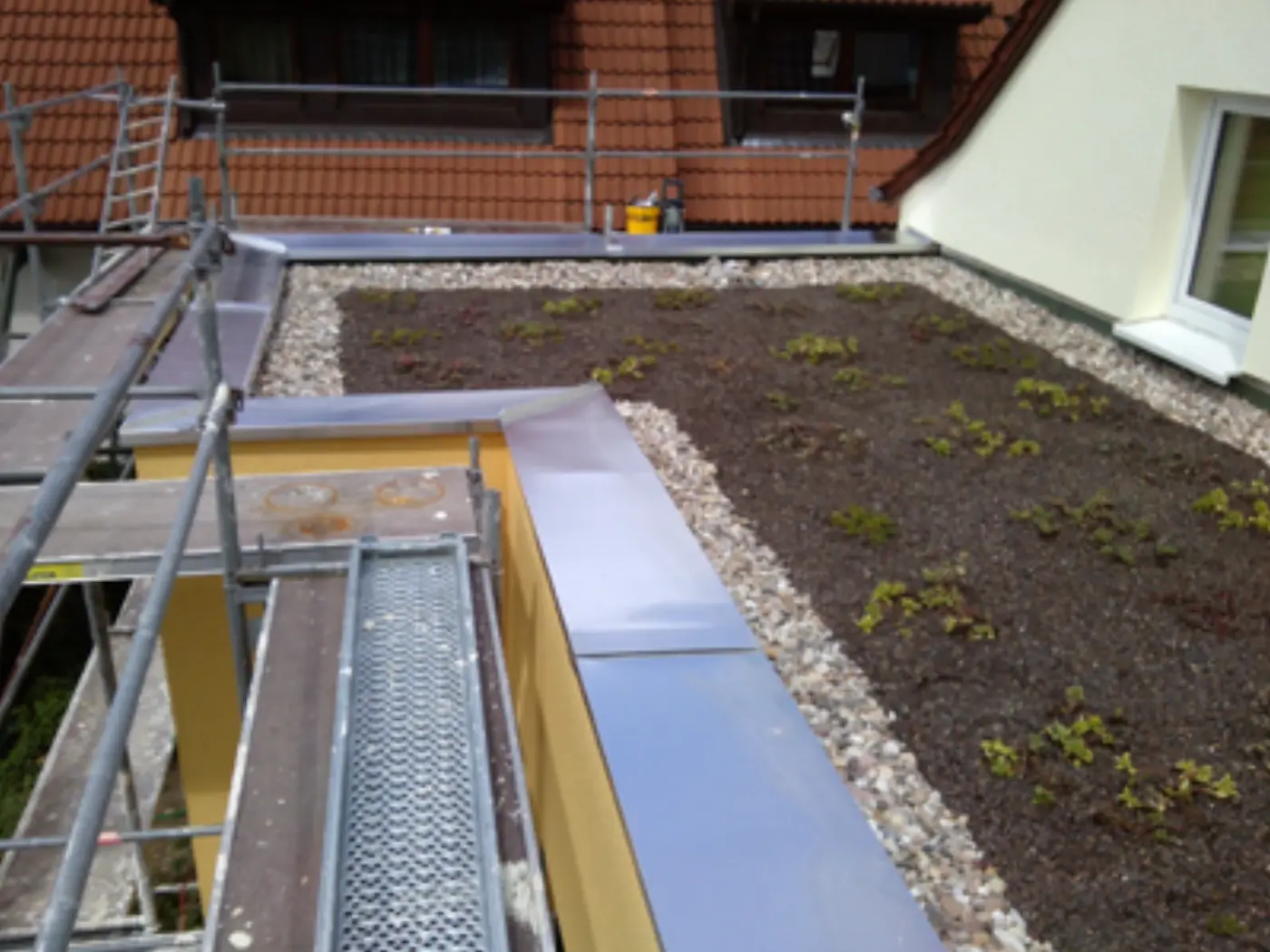 Begrüntes Flachdach, Foto 5 von 6
